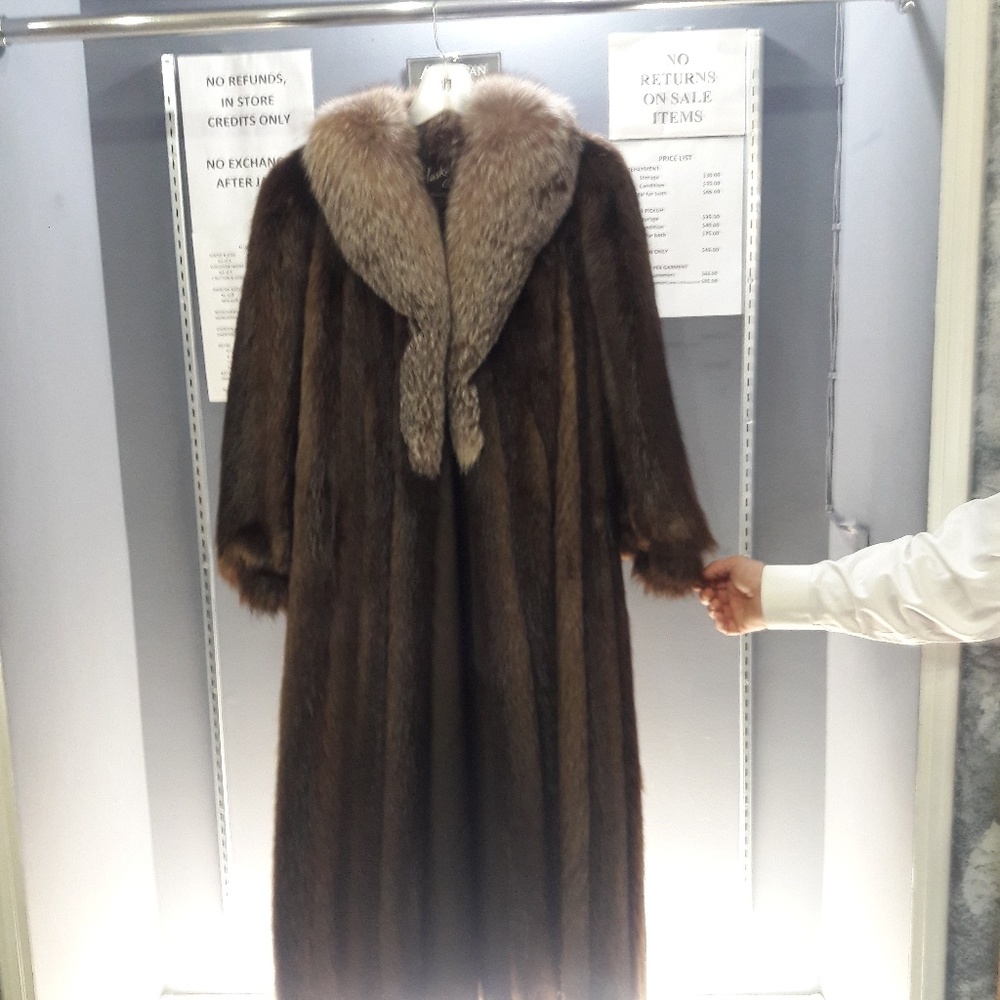 Full length Beaver - Picture 2 of 2